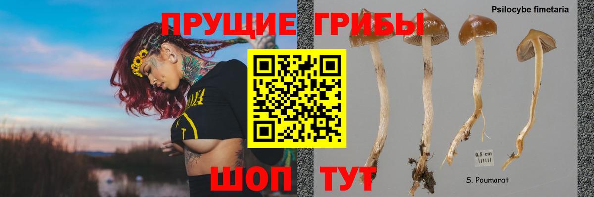 Псилоцибиновые грибы Magic Shrooms  Вход с VPN  Россошь 